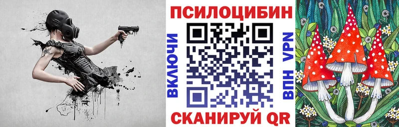 Псилоцибиновые грибы Cubensis  где найти наркотики  Губкинский 