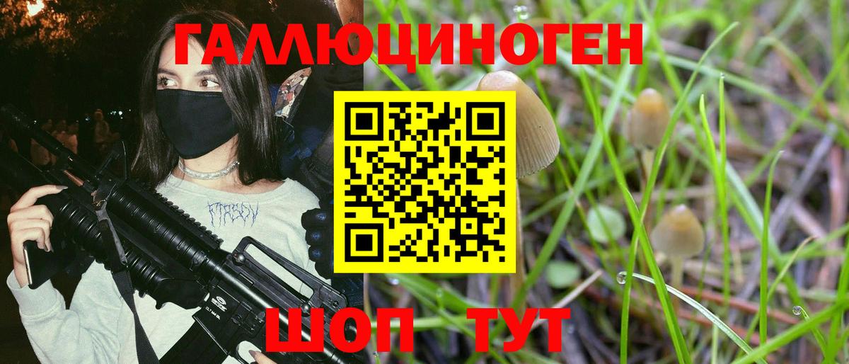 Псилоцибиновые грибы GOLDEN TEACHER  Губкинский 