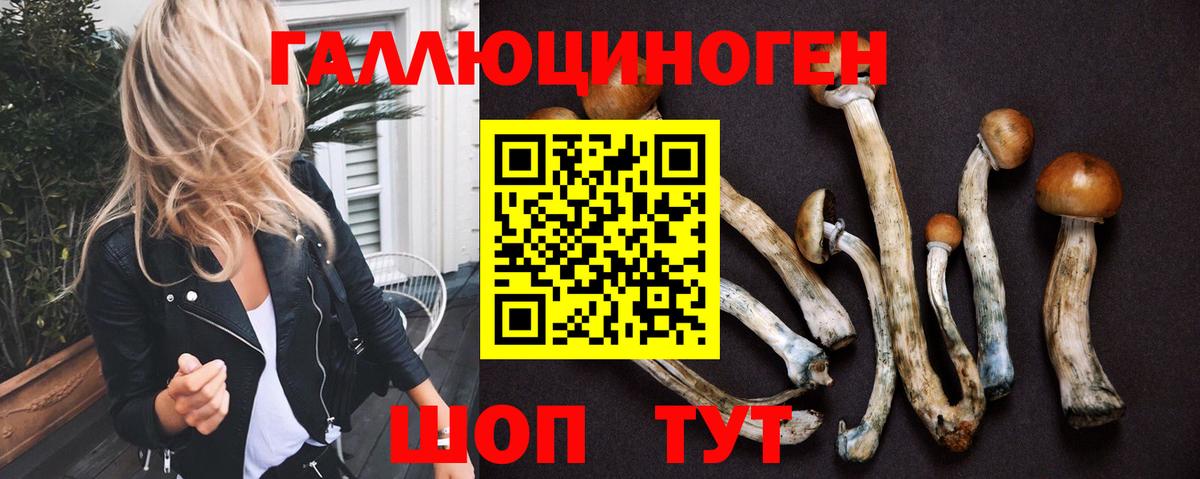 Псилоцибиновые грибы Magic Shrooms Губкинский