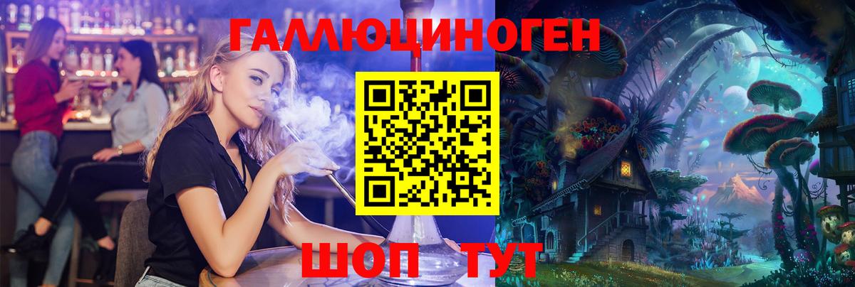 купить закладку  Вход с VPN  Губкинский  Галлюциногенные грибы мицелий 